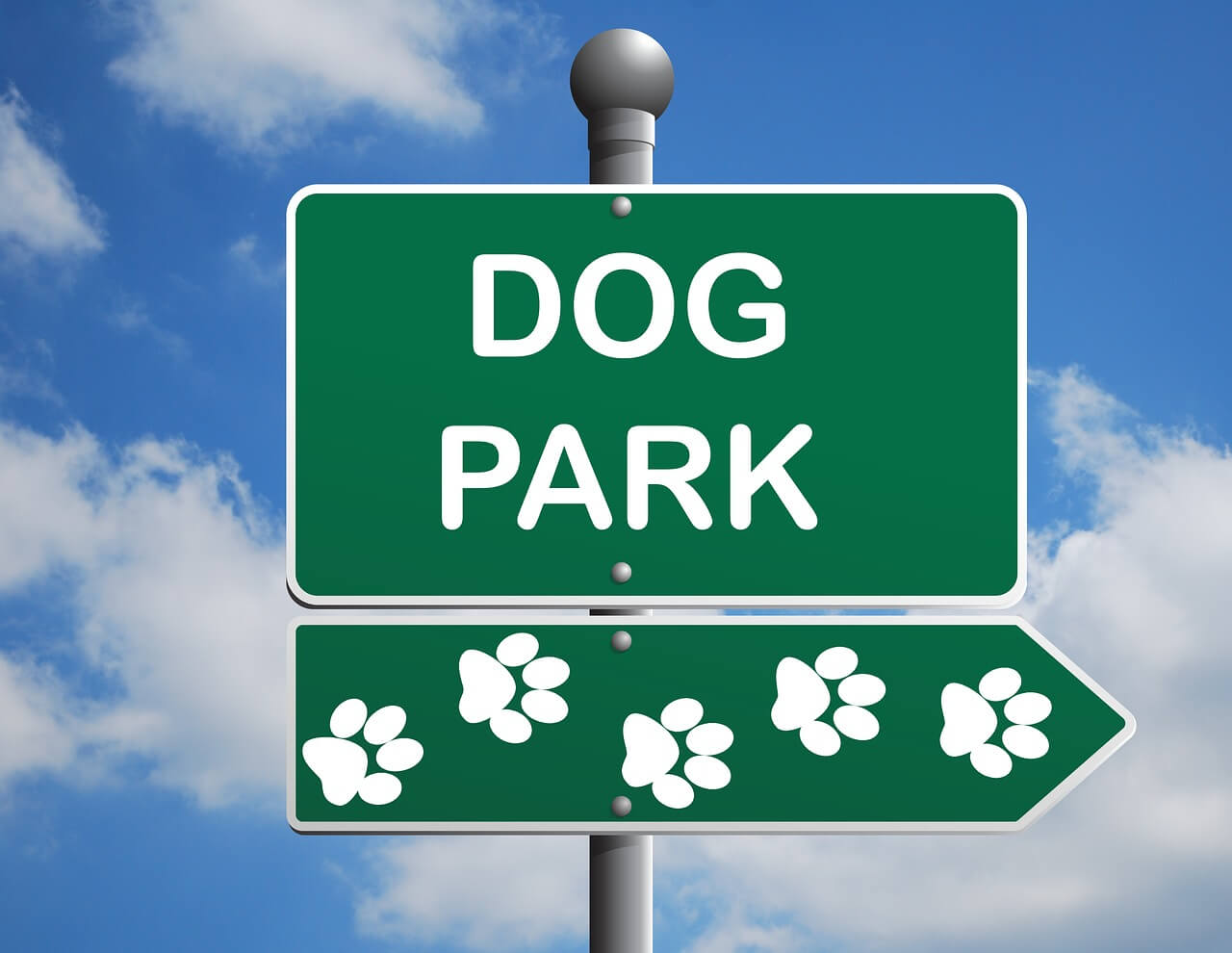 When can a puppy go to a dog park?
